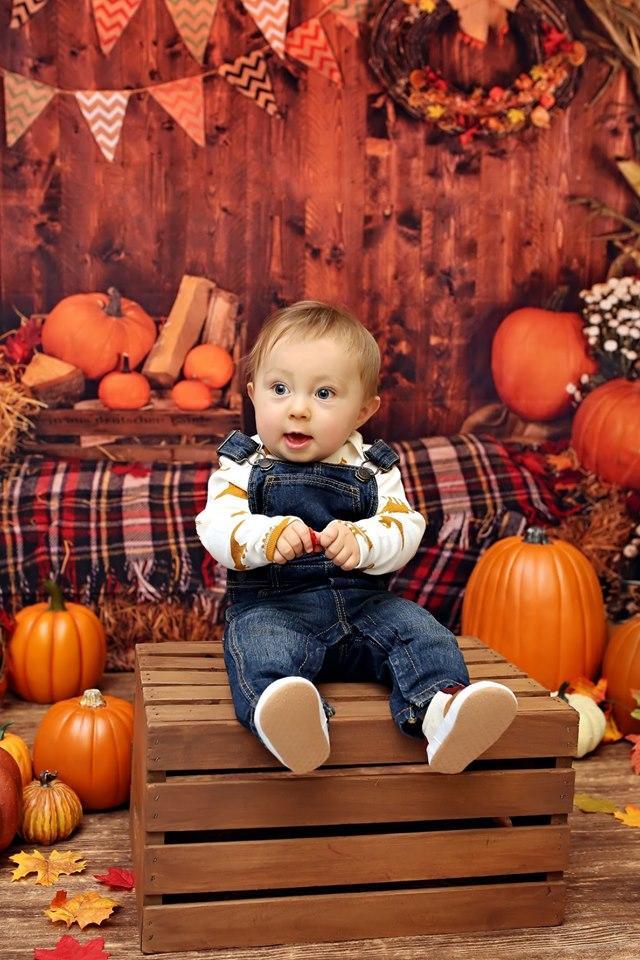 Kate Fall Pumpkin Straw Wood Daisy for Pictures - Kate Backdrop AU