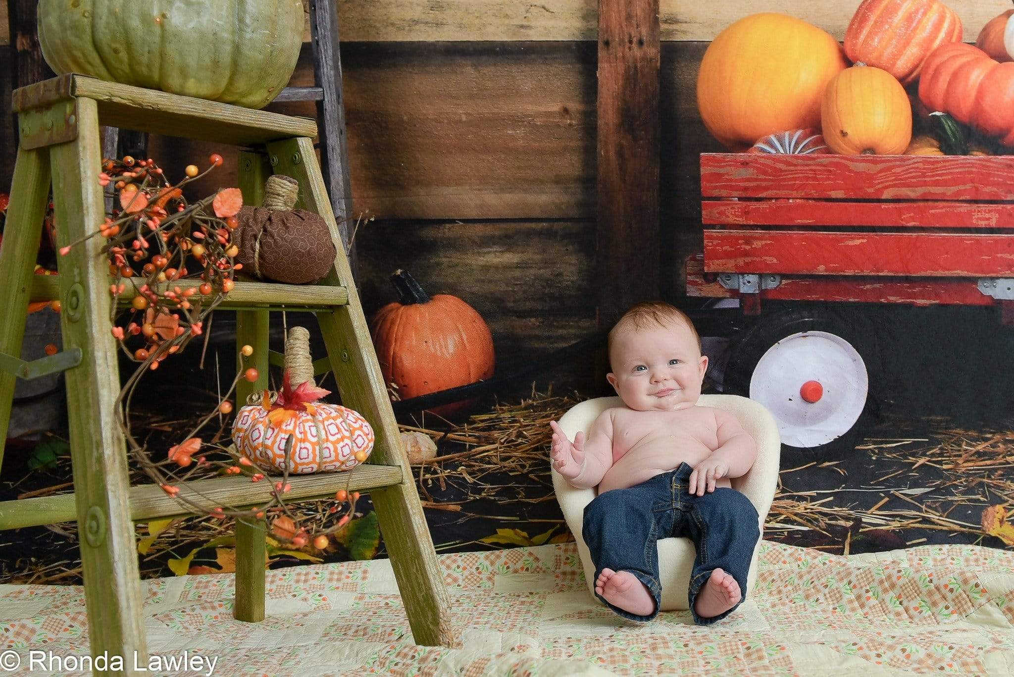 Kate Pumpkin Harvest Backdrop Autumn and Halloween designed by Arica Kirby - Kate Backdrop AU