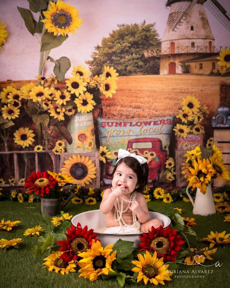 Kate Sunflower Fall Farm Field Backdrop - Kate Backdrop AU