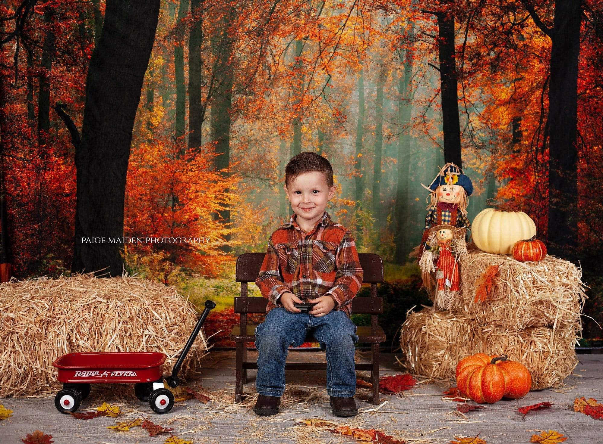 Kate Autumn Forest With Maple And Green Grass for Photography - Kate Backdrop AU