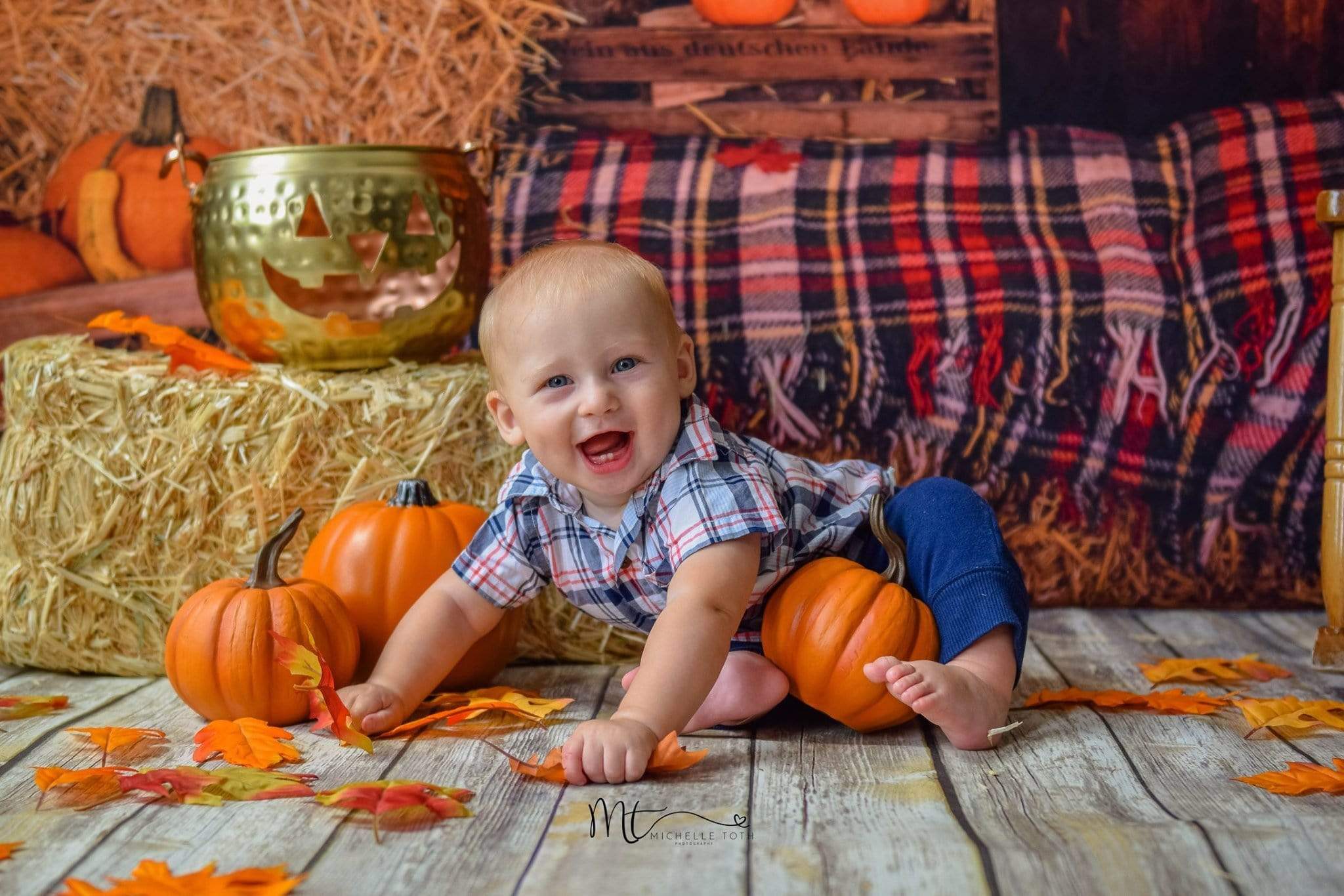 Kate Fall Pumpkin Straw Wood Daisy for Pictures - Kate Backdrop AU