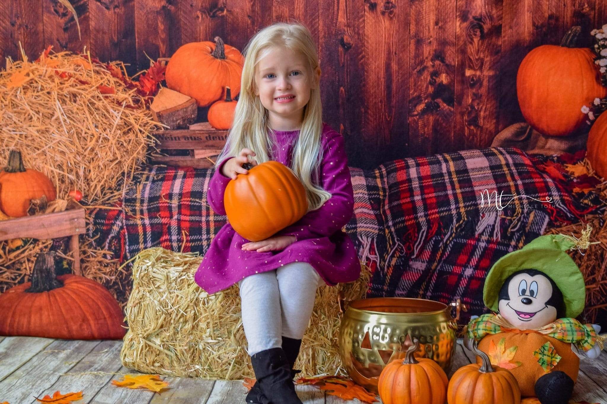 Kate Fall Pumpkin Straw Wood Daisy for Pictures - Kate Backdrop AU