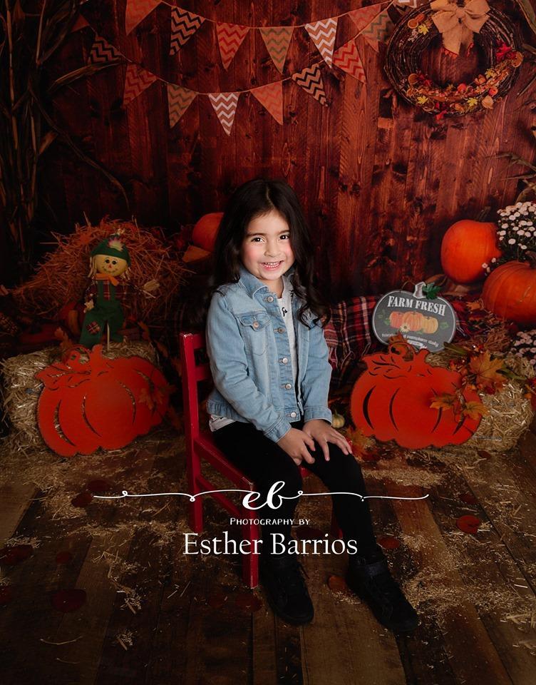 Kate Fall Pumpkin Straw Wood Daisy for Pictures - Kate Backdrop AU