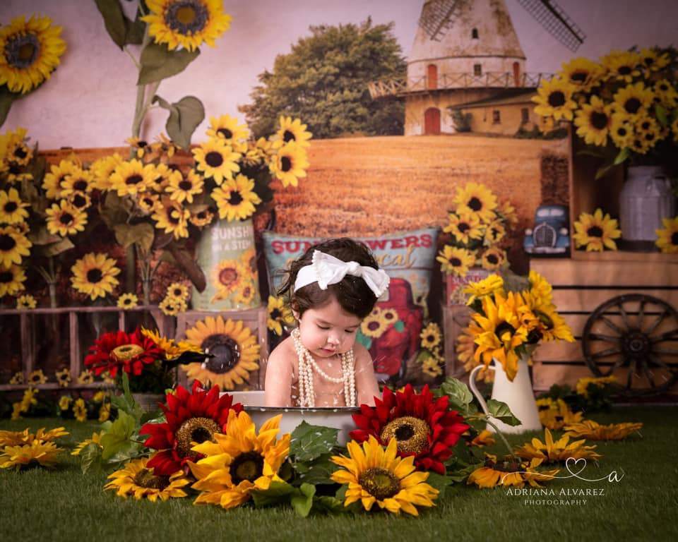 Kate Sunflower Fall Farm Field Backdrop - Kate Backdrop AU
