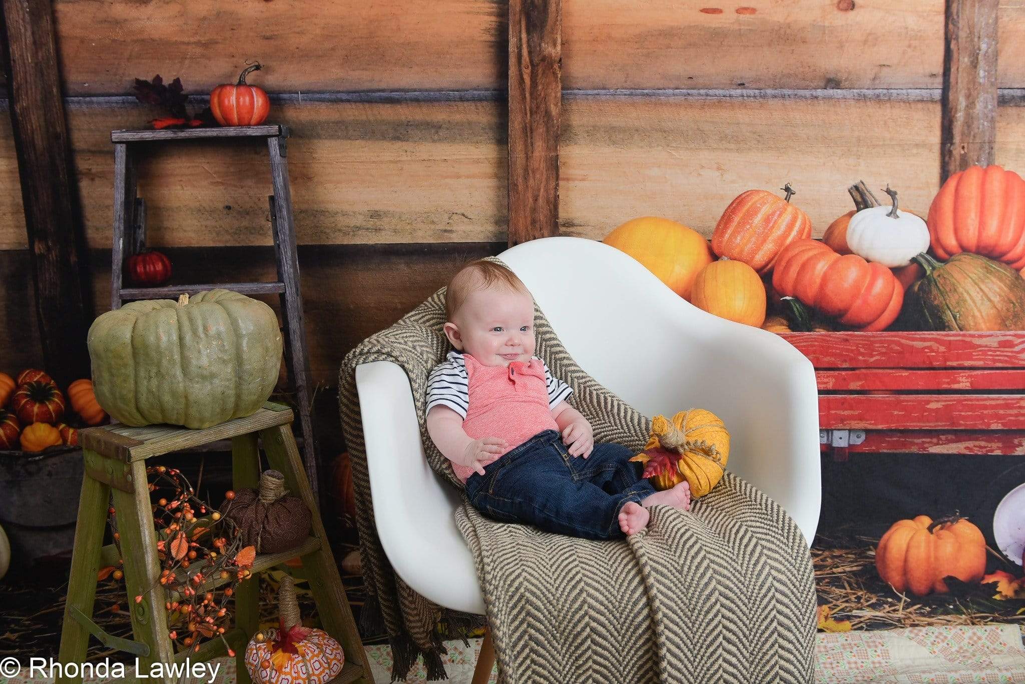 Kate Pumpkin Harvest Backdrop Autumn and Halloween designed by Arica Kirby - Kate Backdrop AU