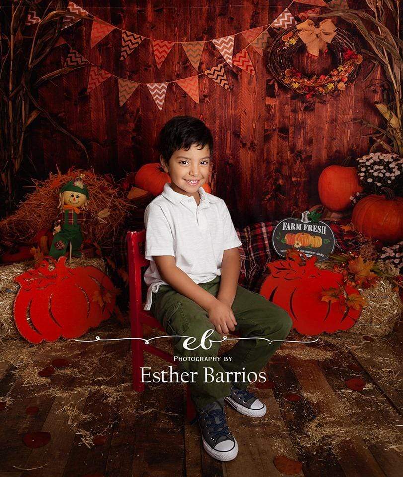 Kate Fall Pumpkin Straw Wood Daisy for Pictures - Kate Backdrop AU