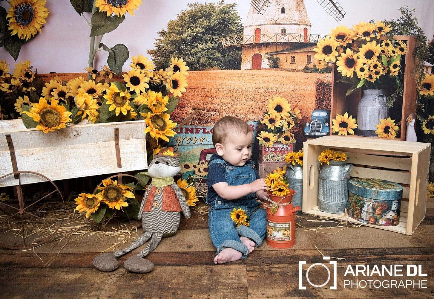 Kate Sunflower Fall Farm Field Backdrop - Kate Backdrop AU