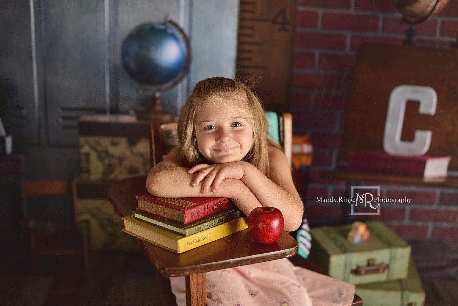 Kate Back to School Backdrop for Photography Designed By Erin Larkins - Kate Backdrop AU