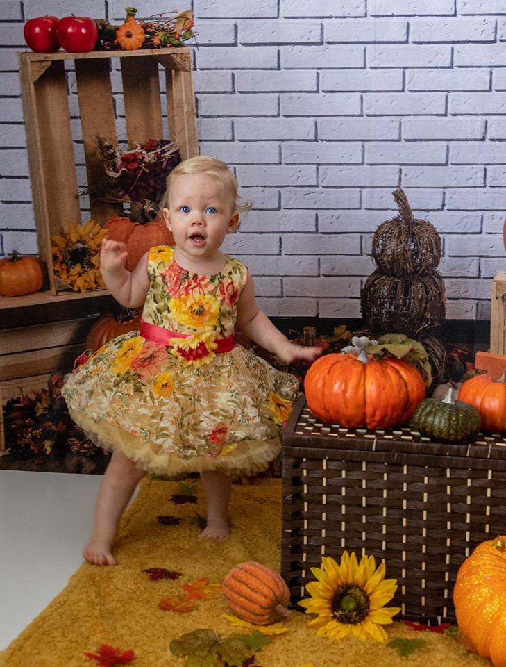 Kate Fall Harvest Festival Pumpkin Backdrop for Photography Designed By Michele Ernst Photography - Kate Backdrop AU