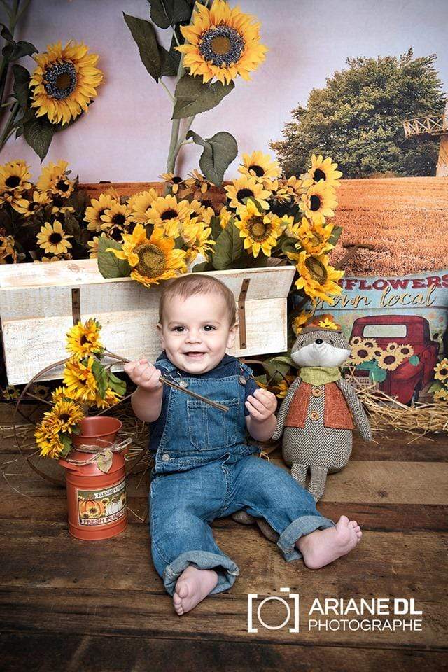Kate Sunflower Fall Farm Field Backdrop - Kate Backdrop AU