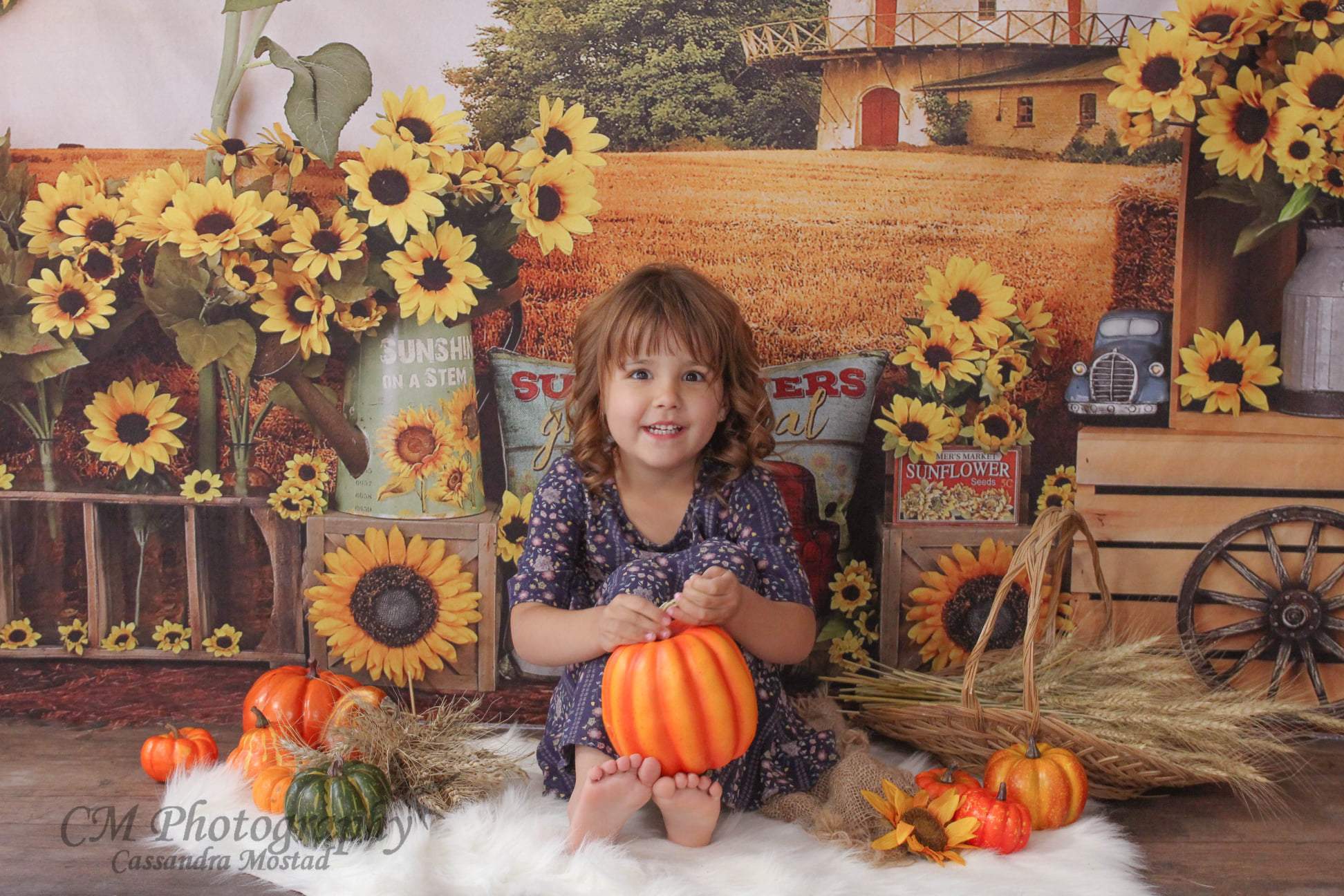 Kate Sunflower Fall Farm Field Backdrop - Kate Backdrop AU