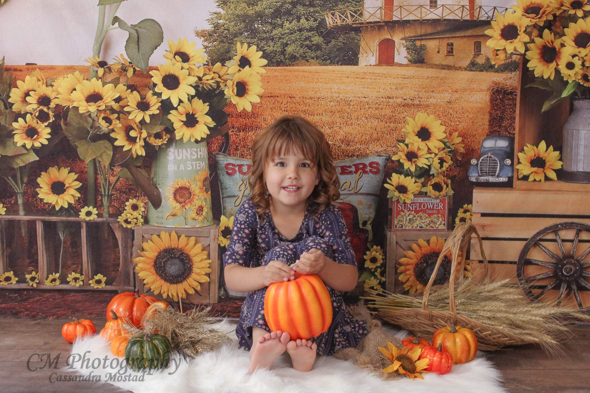 Kate Sunflower Fall Farm Field Backdrop