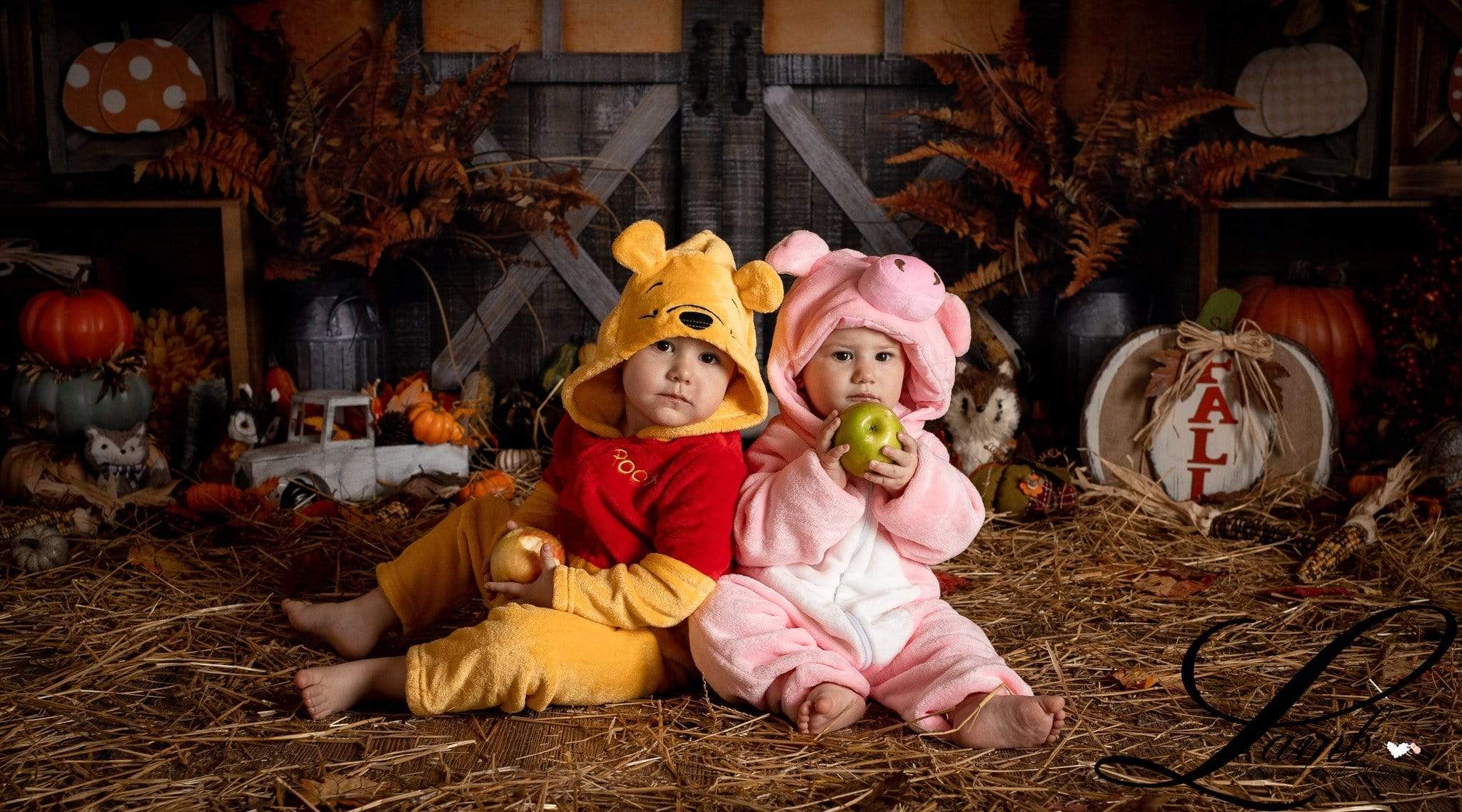 Kate Autumn Harvest Thanksgiving Backdrop - Kate Backdrop AU