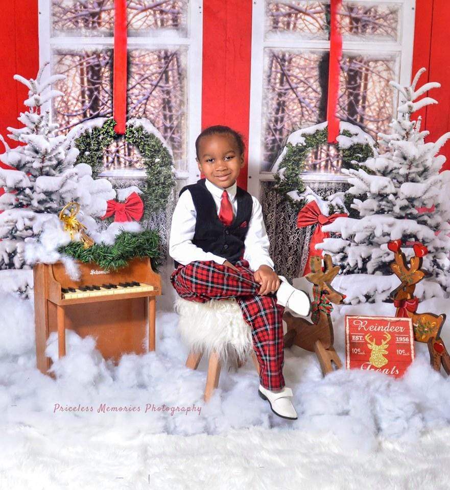 Kate Winter Snowy Pinetrees Red Window View Backdrop Designed By Jerry_Sina - Kate Backdrop AU