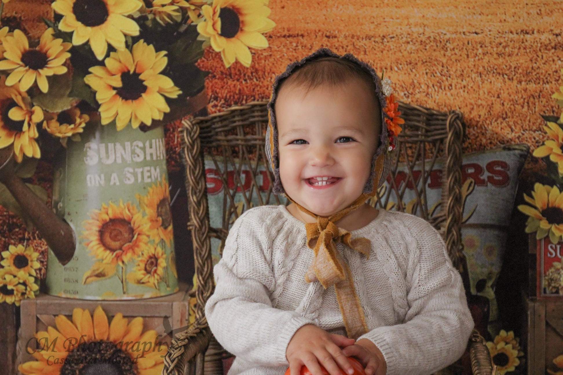 Kate Sunflower Fall Farm Field Backdrop - Kate Backdrop AU