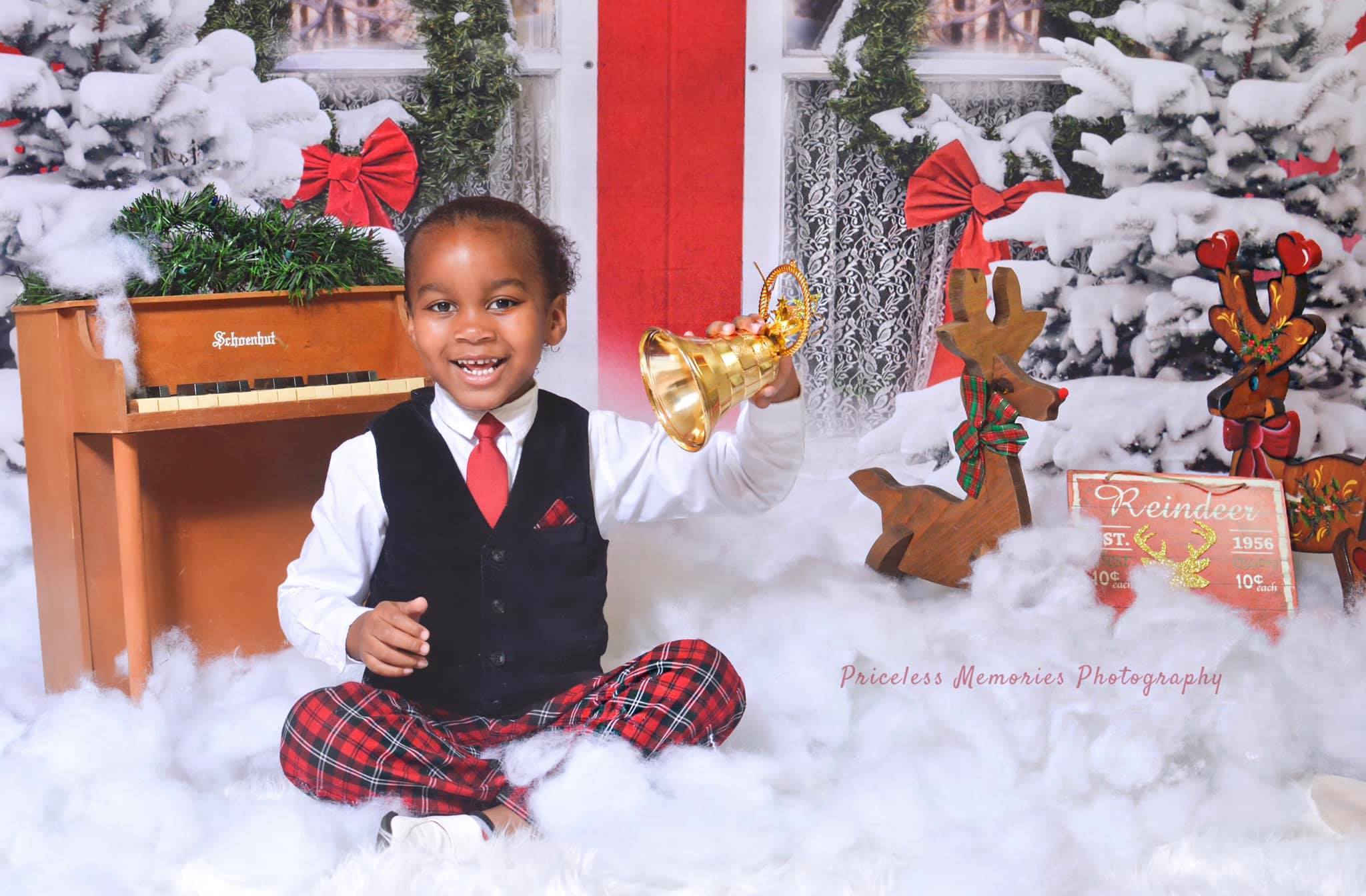 Kate Winter Snowy Pinetrees Red Window View Backdrop Designed By Jerry_Sina - Kate Backdrop AU