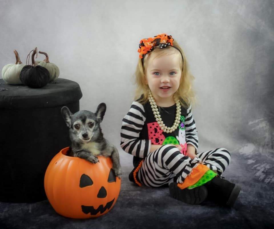 Kate Gray Dark Around Abstract Textured Photography Backdrop - Kate Backdrop AU