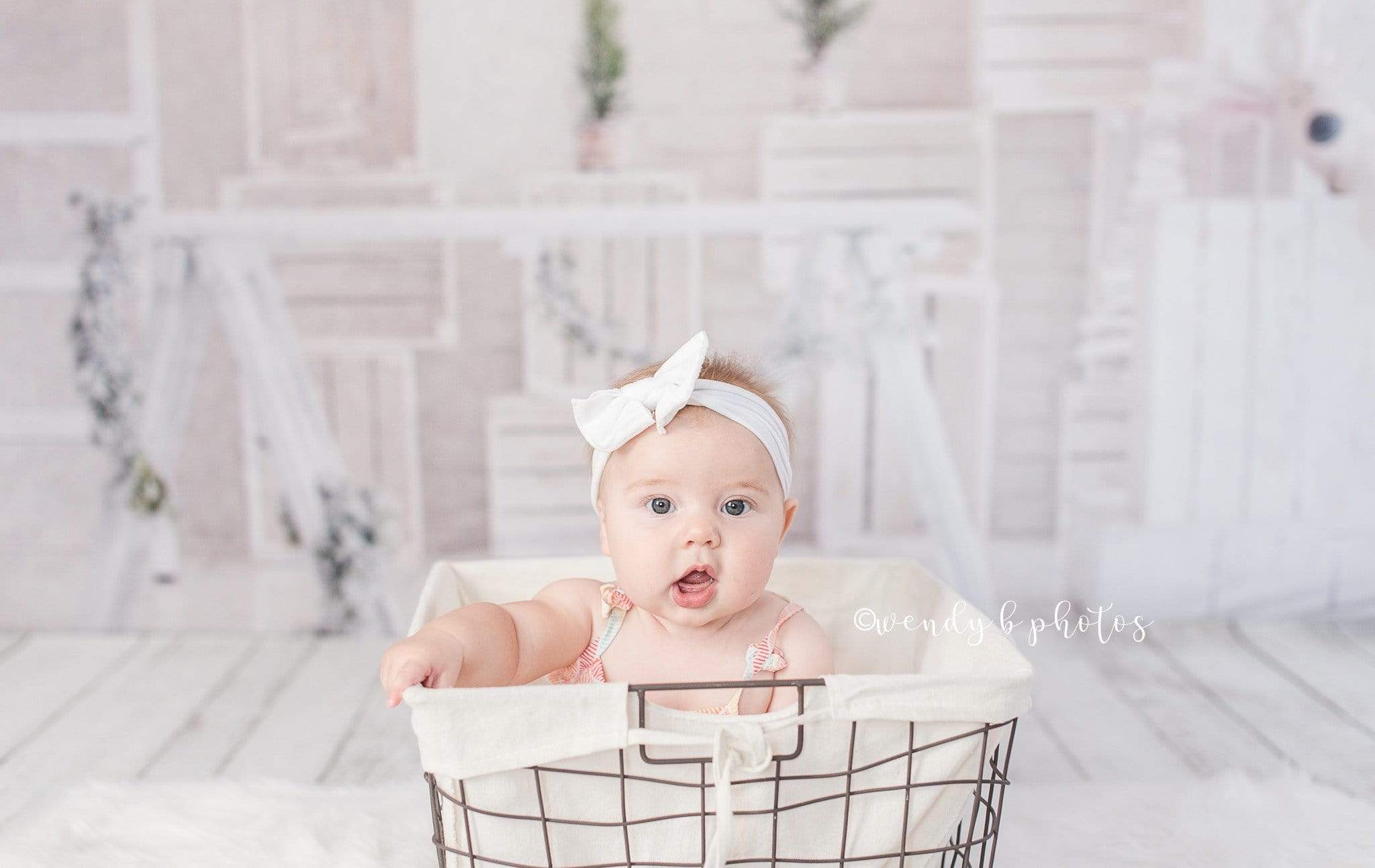Kate Christmas White Room with Potted Plant Decorations Backdrop - Kate Backdrop AU
