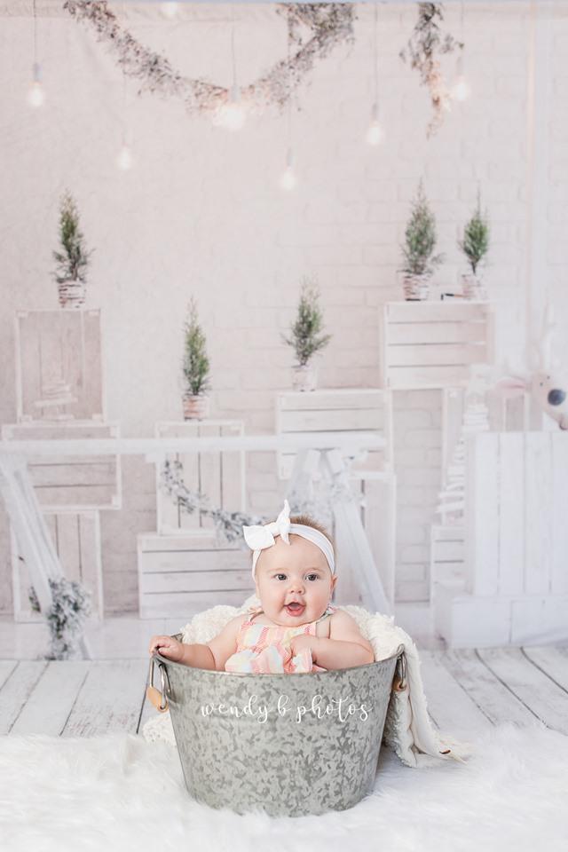 Kate Christmas White Room with Potted Plant Decorations Backdrop - Kate Backdrop AU