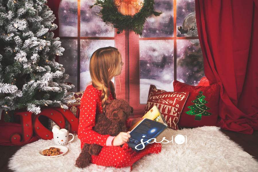 Kate Christmas Snow And Sunshine Outside Window Backdrops for Photography - Kate Backdrop AU