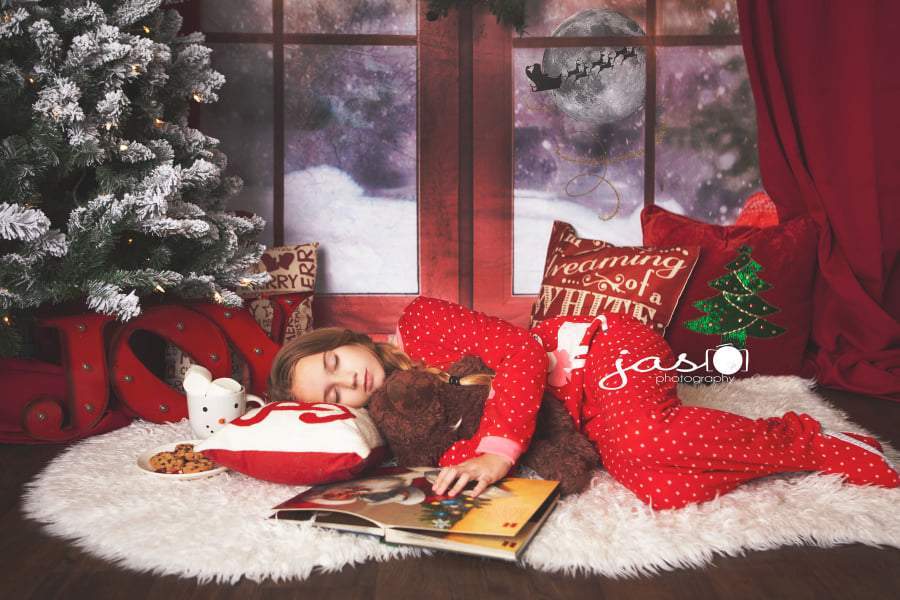 Kate Christmas Snow And Sunshine Outside Window Backdrops for Photography - Kate Backdrop AU