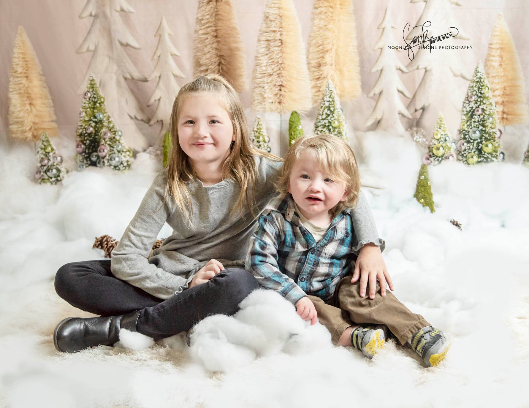 Kate Elegant Christmas Trees Backdrop for Photography Designed By Mandy Ringe Photography - Kate Backdrop AU