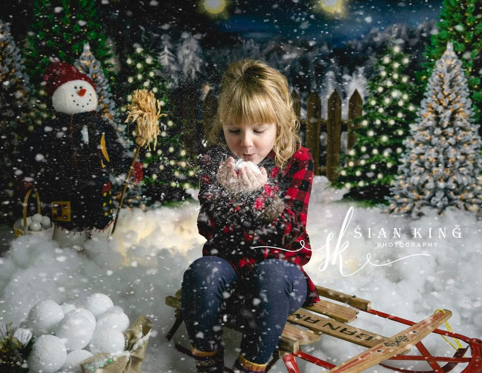 Kate Christmas Night Pine Trees Farm Backdrop Designed By Jerry_Sina - Kate Backdrop AU