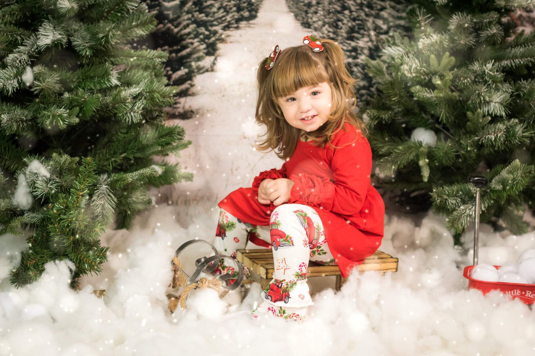 Kate Christmas Pines Tree Farm Path Backdrop for Photography - Kate Backdrop AU