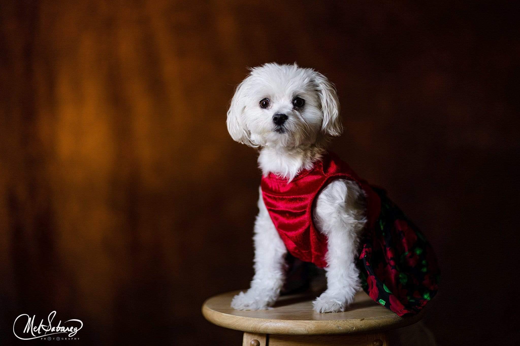 Kate Abstract Dark Brown Black Textured Backdrop for Photography - Kate Backdrop AU
