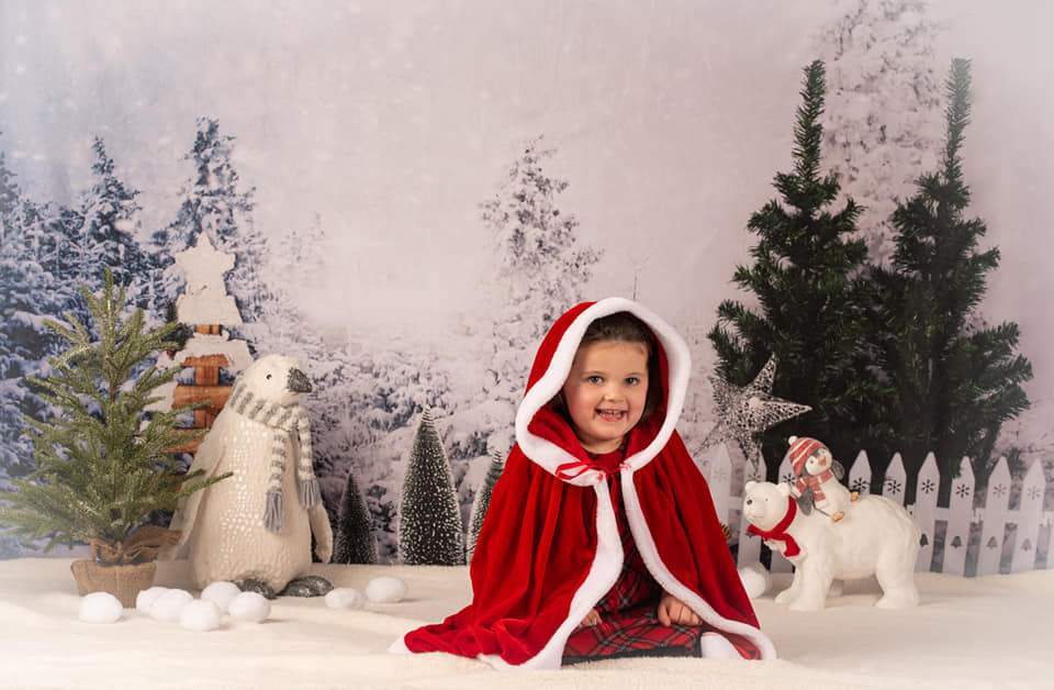 Kate Winter Pine Trees Decorations Backdrop Designed By Jerry_Sina - Kate Backdrop AU