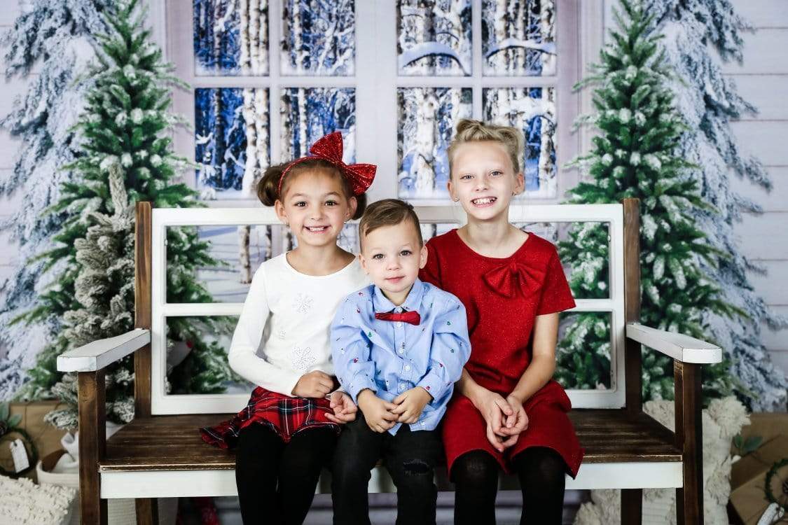 Kate Christmas Trees Window Snow View Backdrop Designed By Jerry_Sina - Kate Backdrop AU