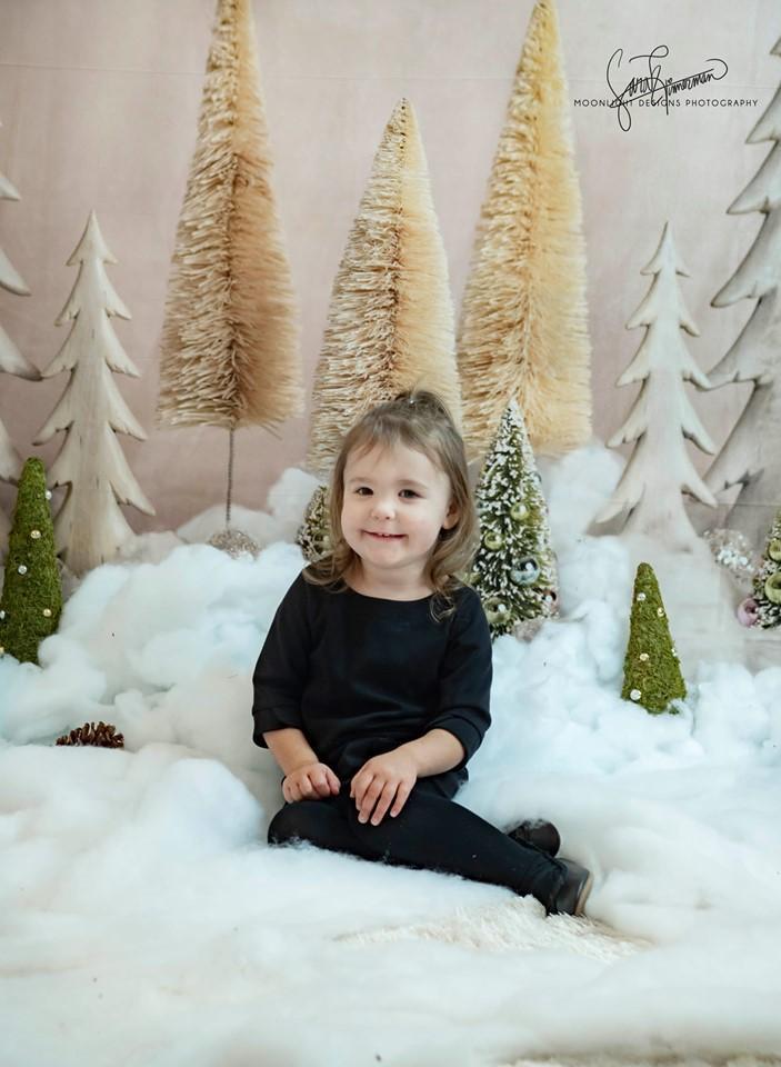 Kate Elegant Christmas Trees Backdrop for Photography Designed By Mandy Ringe Photography - Kate Backdrop AU