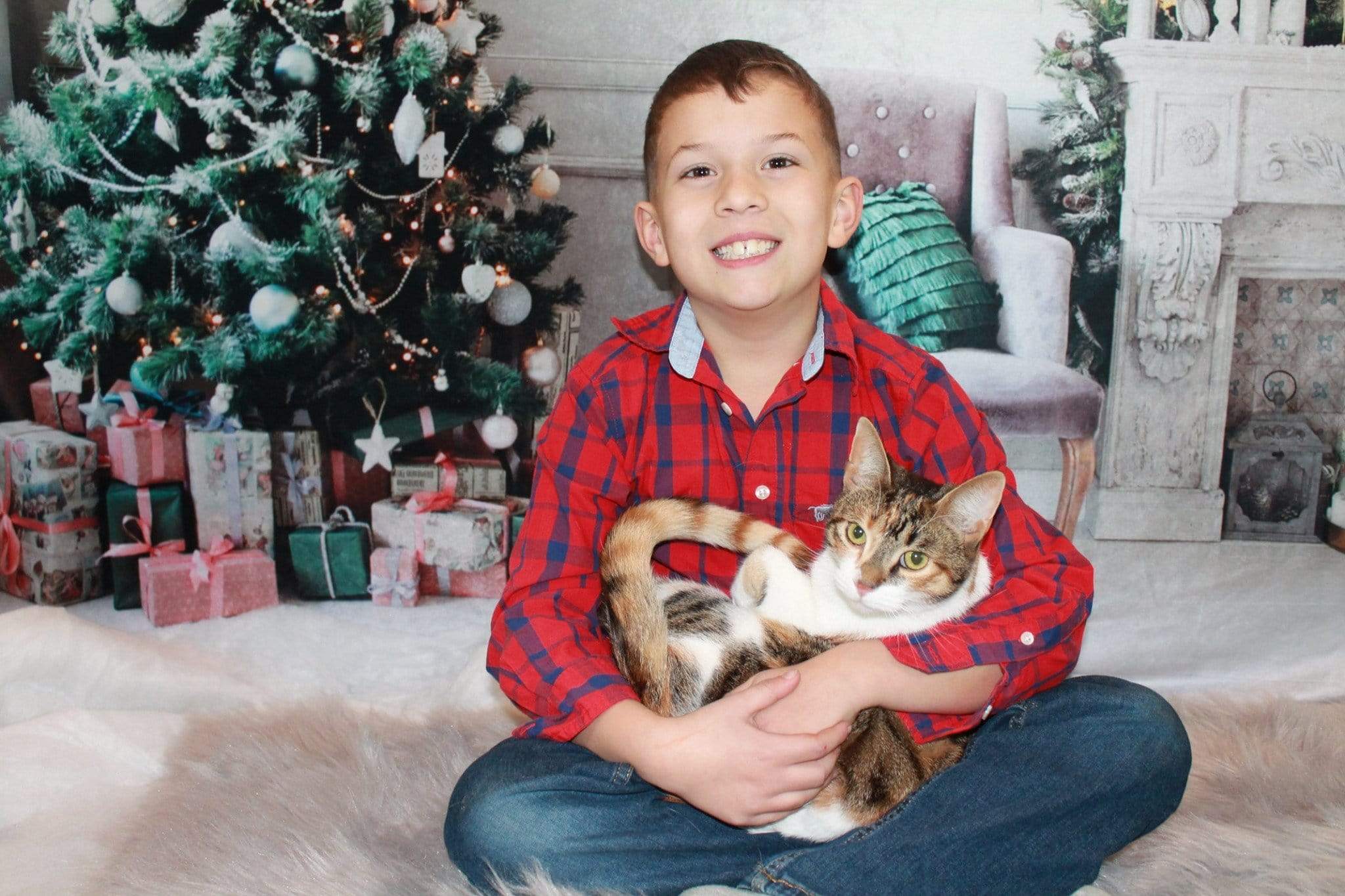 Kate Winter Christmas trees White Wall Christmas Gifts for Pictures - Kate Backdrop AU