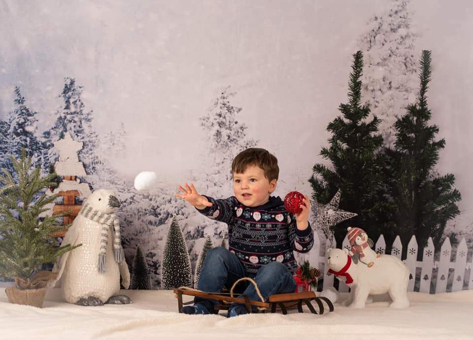 Kate Winter Pine Trees Decorations Backdrop Designed By Jerry_Sina - Kate Backdrop AU