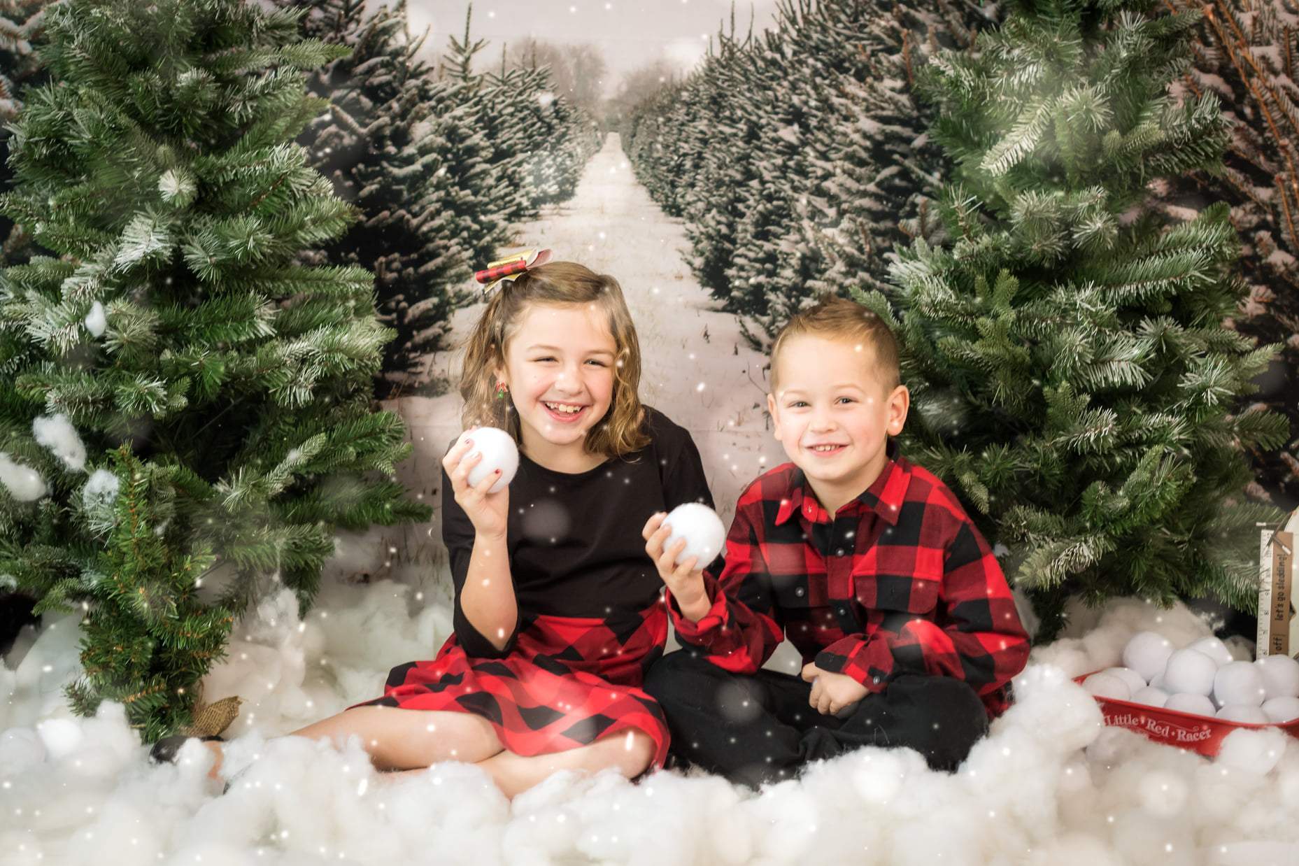 Kate Christmas Pines Tree Farm Path Backdrop for Photography - Kate Backdrop AU