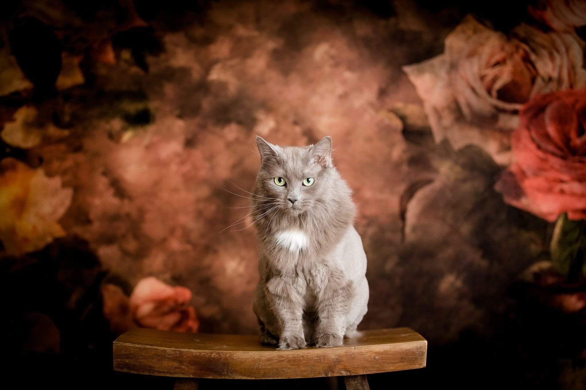 Kate Spring/Mother's Day Retro Abstract Flowers Backdrop Designed By Jerry_Sina - Kate Backdrop AU