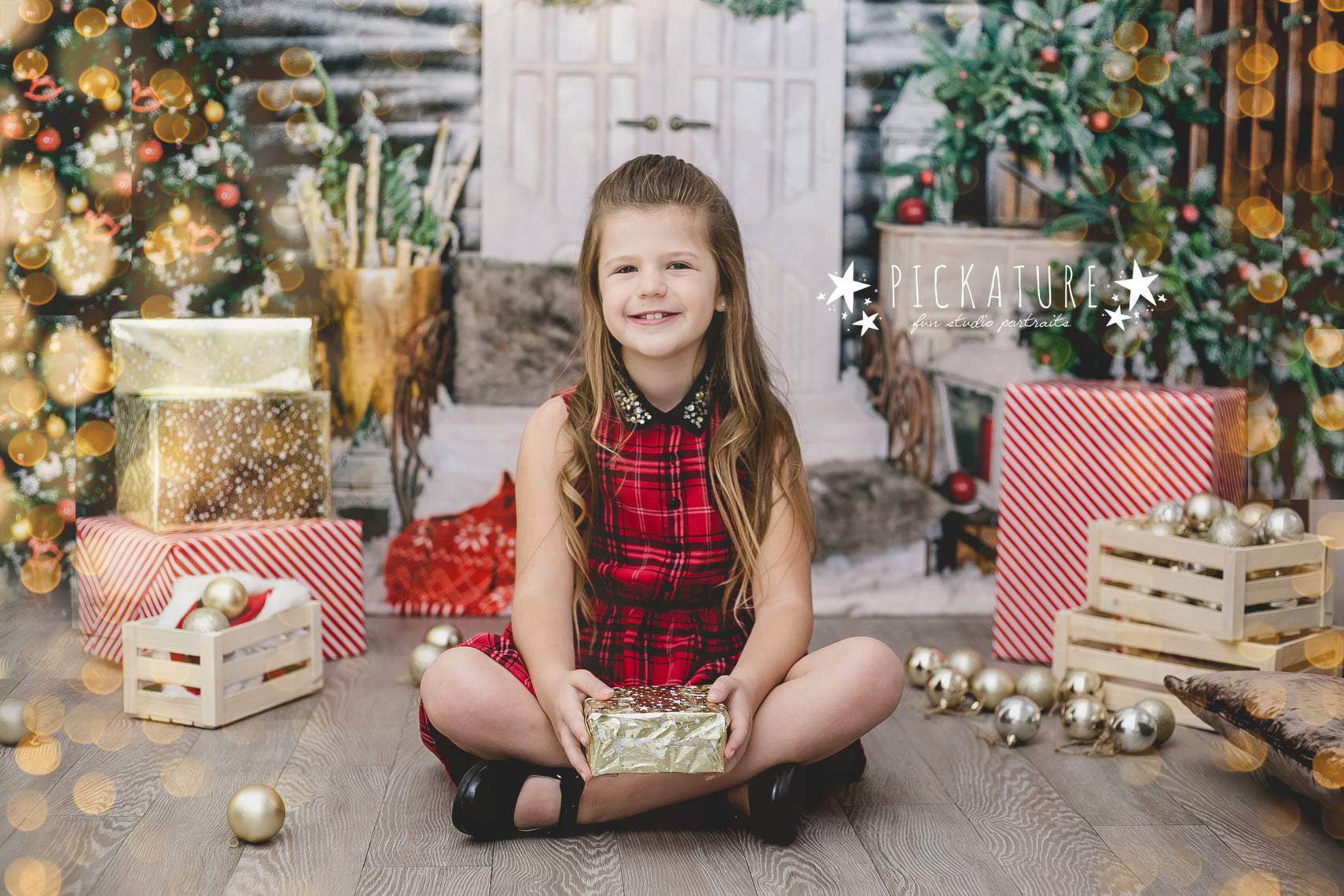 Kate Christmas Trees White Door Decorations Backdrop for Photography - Kate Backdrop AU