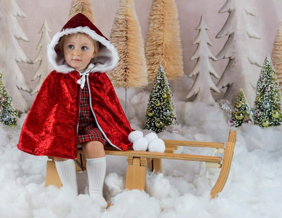 Kate Elegant Christmas Trees Backdrop for Photography Designed By Mandy Ringe Photography - Kate Backdrop AU