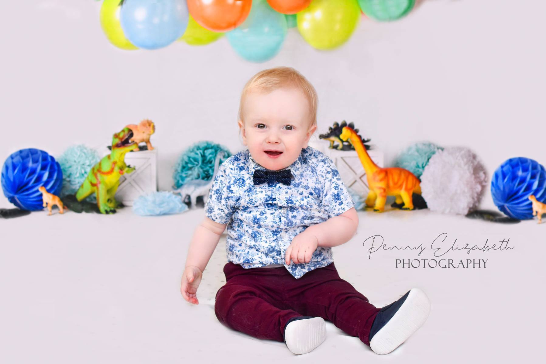 Kate Dinosaur Birthday with Balloons Backdrop for Photography Designed By Mandy Ringe Photography - Kate Backdrop AU