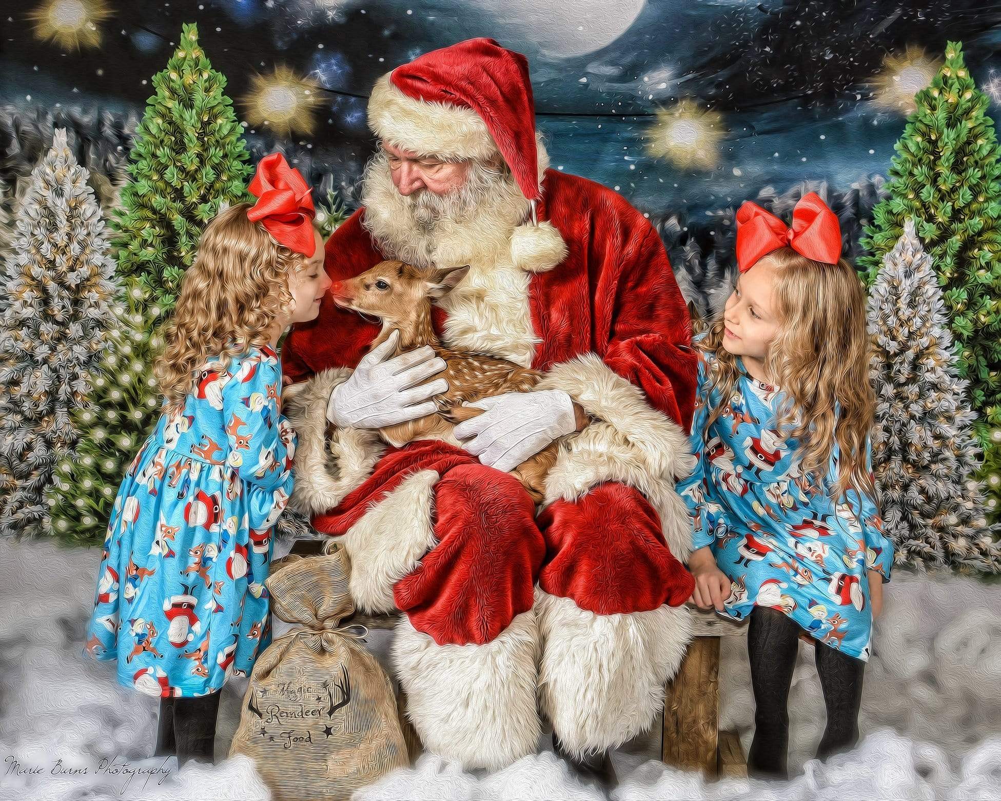 Kate Christmas Night Pine Trees Farm Backdrop Designed By Jerry_Sina - Kate Backdrop AU