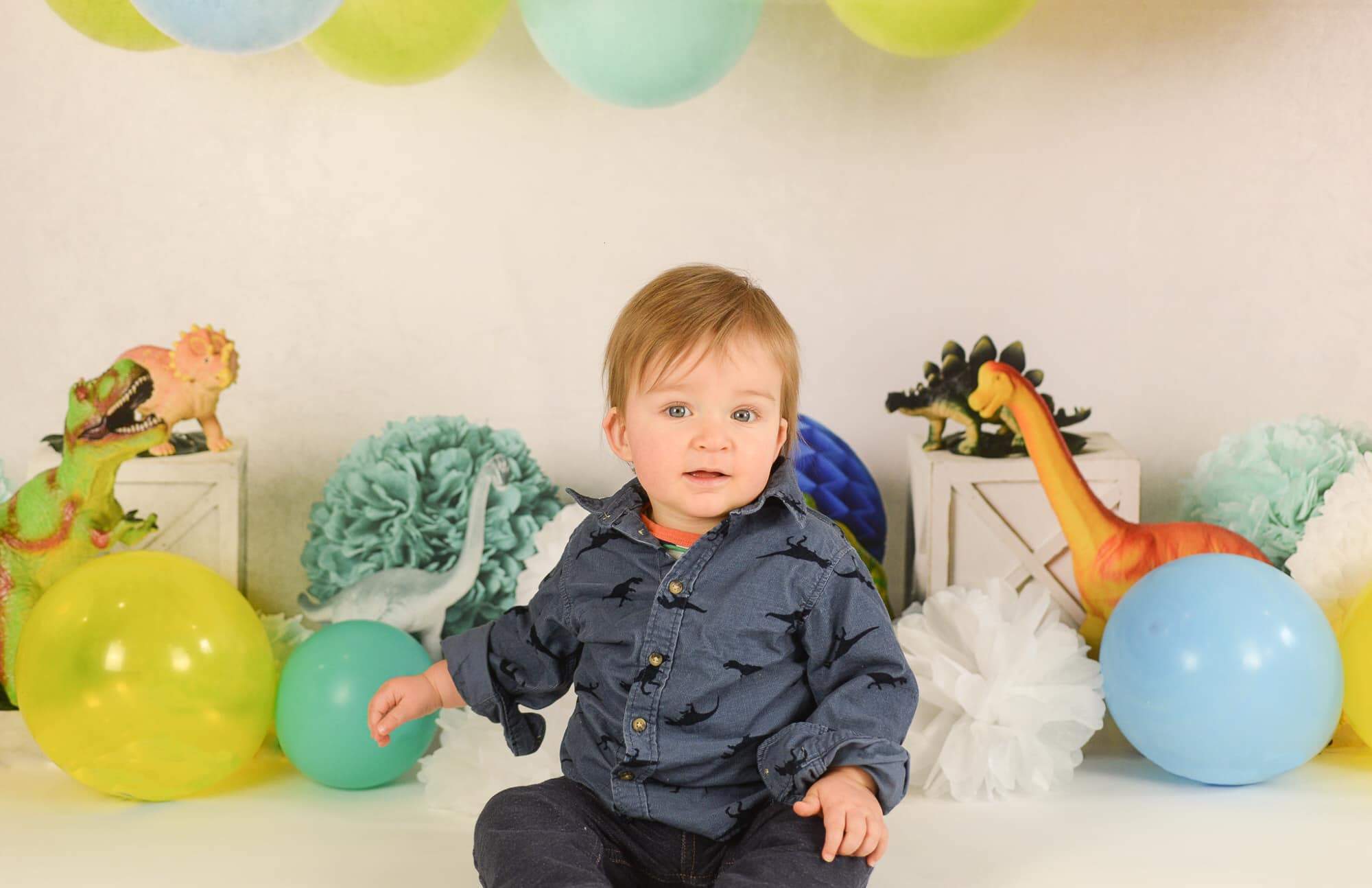 Kate Dinosaur Birthday with Balloons Backdrop for Photography Designed By Mandy Ringe Photography - Kate Backdrop AU
