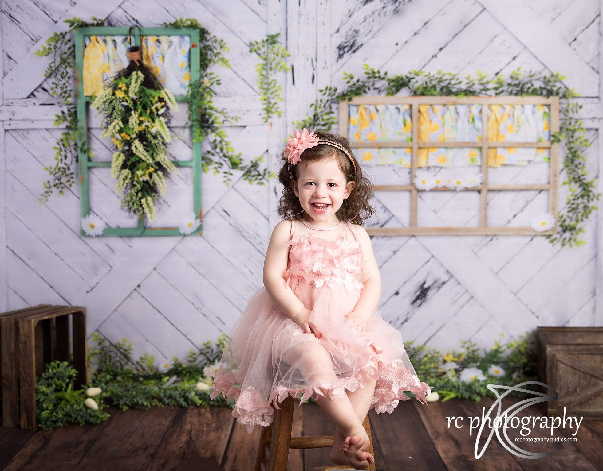 Kate Retro Wood Lemon color and Daisies Spring Backdrop - Kate Backdrop AU