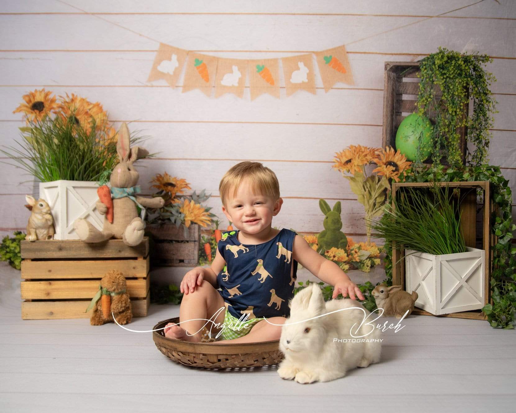 Kate Wooden Sunflower Rabbit Spring/Easter Backdrop for Photography Designed by Jia Chan Photography - Kate Backdrop AU