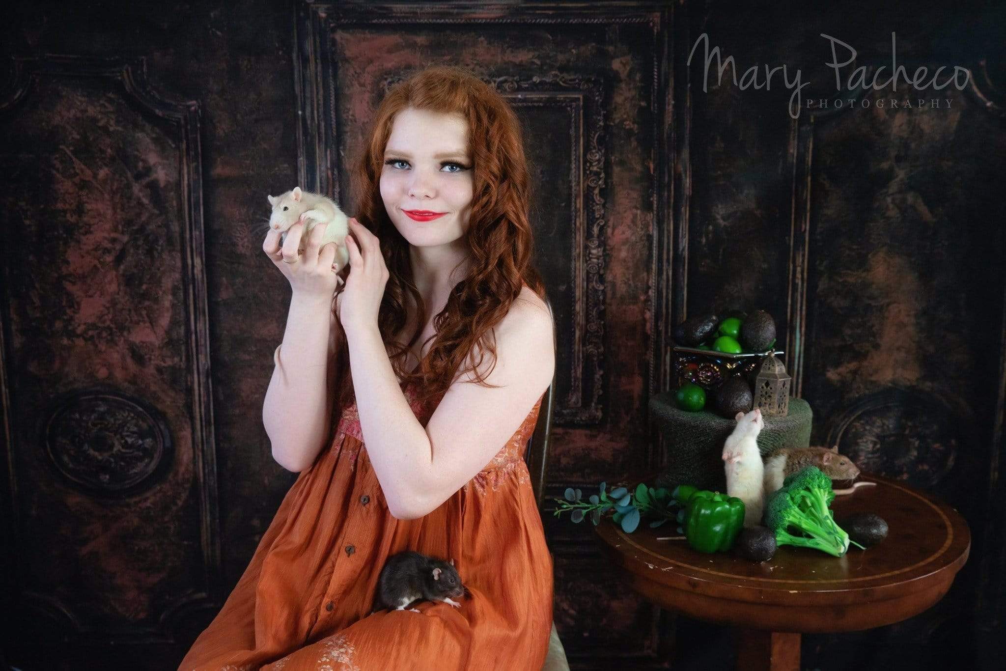 Kate Dark Brown Retro Door Backdrop for Photography - Kate Backdrop AU
