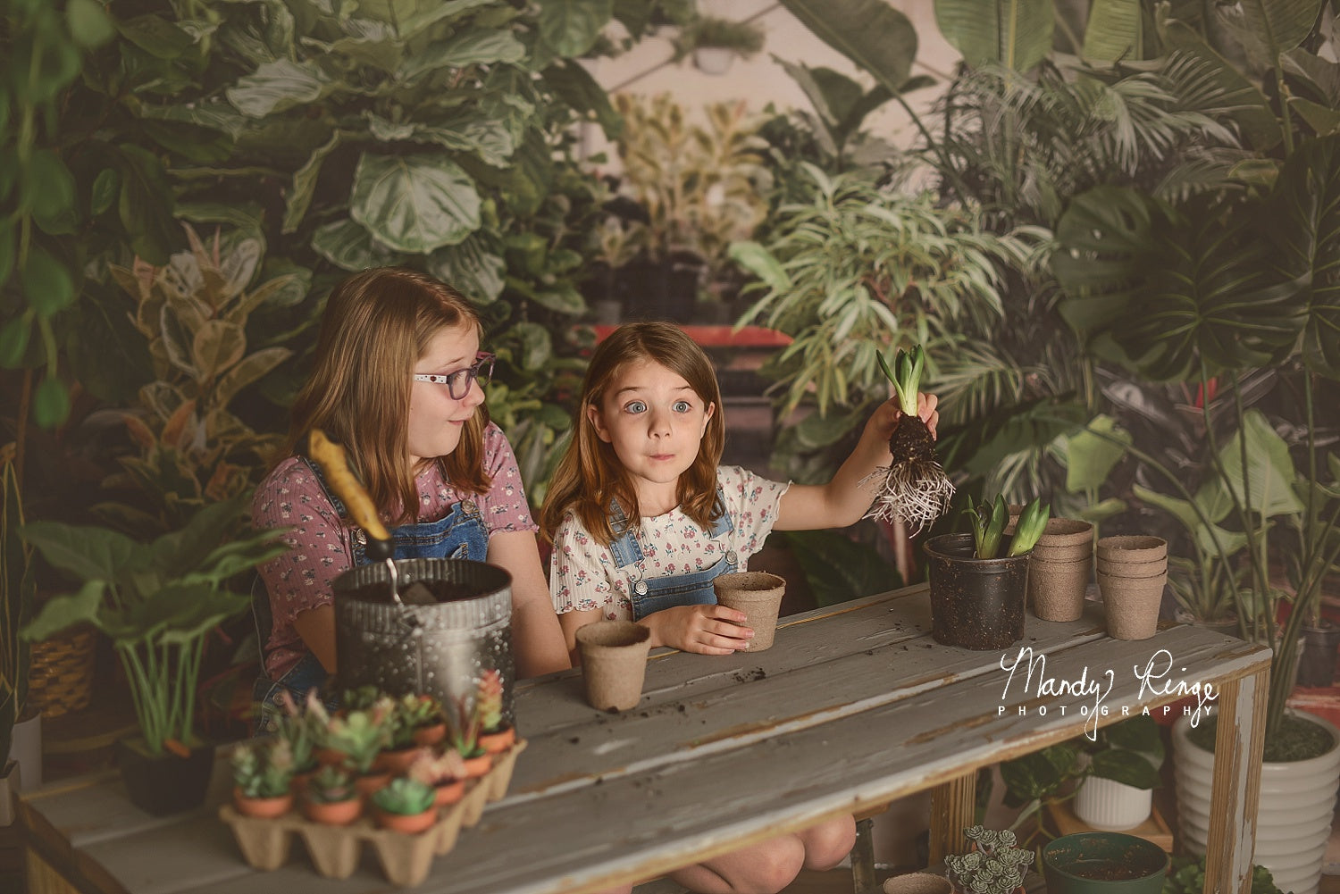 Kate Tropical Greenhouse Interior Backdrop Designed by Mandy Ringe Photography - Kate Backdrop AU