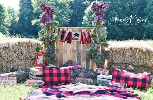 Kate Summer Backdrop Lumber Jack Submitt Designed by AAE Photography - Kate Backdrop AU