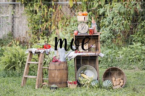 Kate Summer Backdrop Watermelon Stand Designed By Moements Photography - Kate Backdrop AU