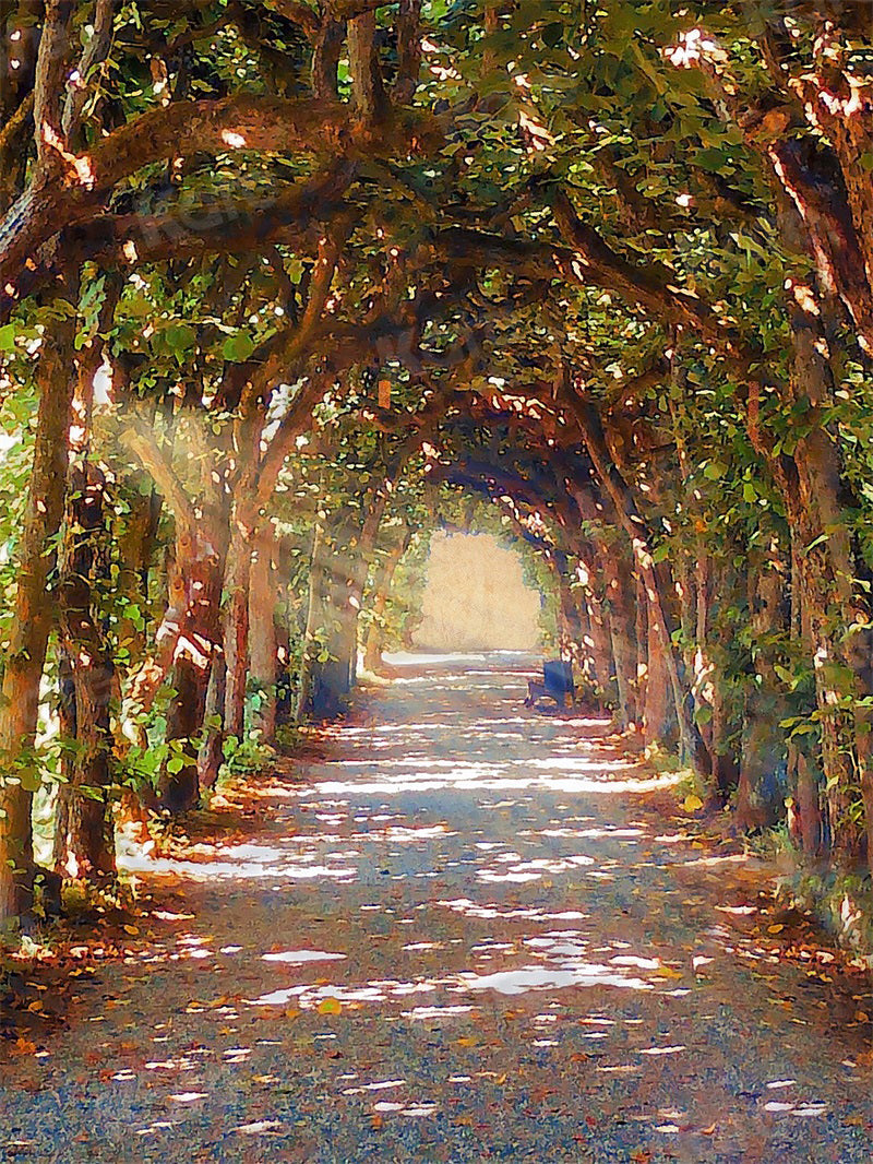 Kate Shaded Path Sunlight Backdrop for Photography - Kate Backdrop AU