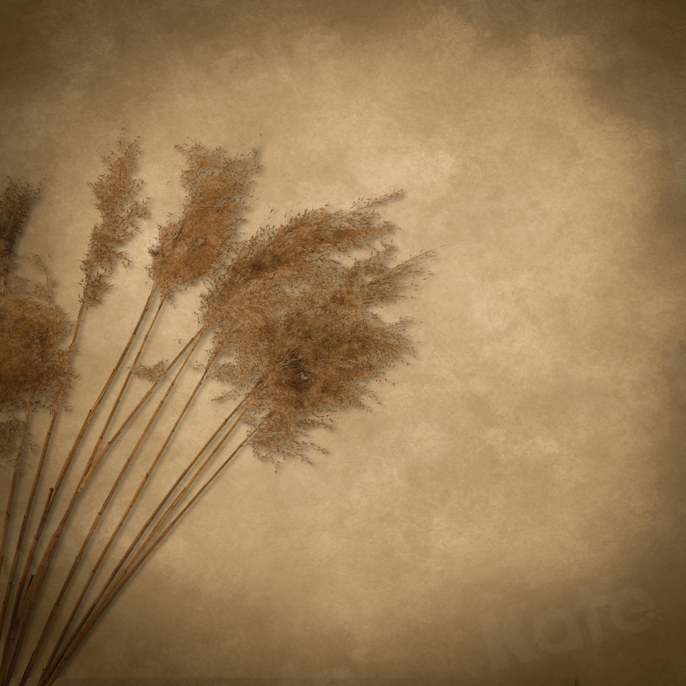 Kate Reed Beige Backdrop for Photography - Kate Backdrop AU