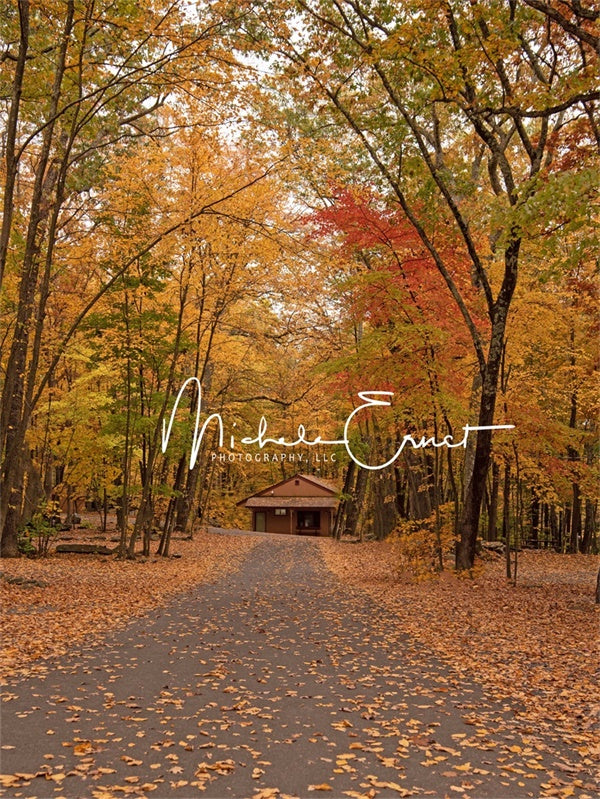 Kate Cabin in the Woods Backdrop Autumn Designed By Michele Ernst Photography - Kate Backdrop AU